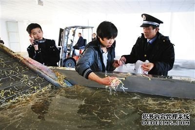 　執(zhí)法人員正讓一名員工從洗豆芽池內(nèi)取樣，準(zhǔn)備帶回檢測(cè)化驗(yàn)。