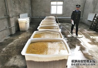 “基地”的豆芽車間內(nèi)浸泡著大量黃豆，執(zhí)法人員正在現(xiàn)場(chǎng)勘查。