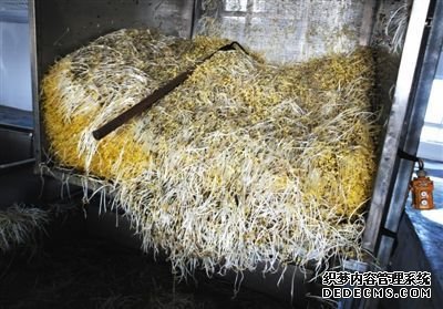 大興豆芽非法生產(chǎn)“基地”的車間內(nèi)，已經(jīng)生產(chǎn)出來的豆芽正在等待最后一道清洗工序。這些豆芽的長(zhǎng)度接近20厘米，遠(yuǎn)遠(yuǎn)超過正常豆芽。