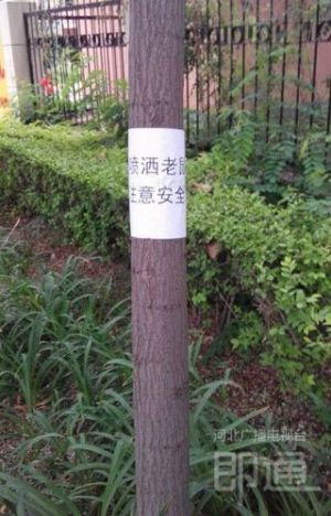 請留意投放標志，遛狗的市民也要注意。