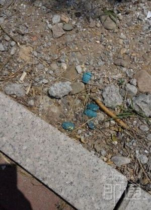 鼠藥顏色鮮艷，容易被兒童誤以為是糖塊撿起來食用，家長要注意。