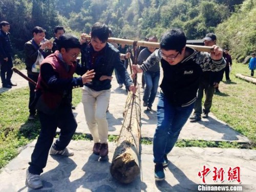 資料圖：游客體驗抬盤木艱難前行。　劉著之攝