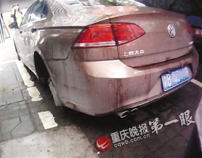 愛車愛成了這樣 買低配版大眾凌渡 偷頂配版輪胎升級(jí)