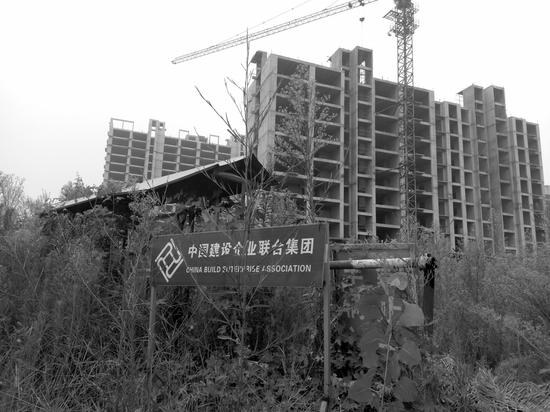 白志明旗下的中國建設企業(yè)聯(lián)合集團有限公司