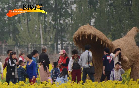 個性的稻草人歡樂區(qū)引游客觀賞。扈煒 攝