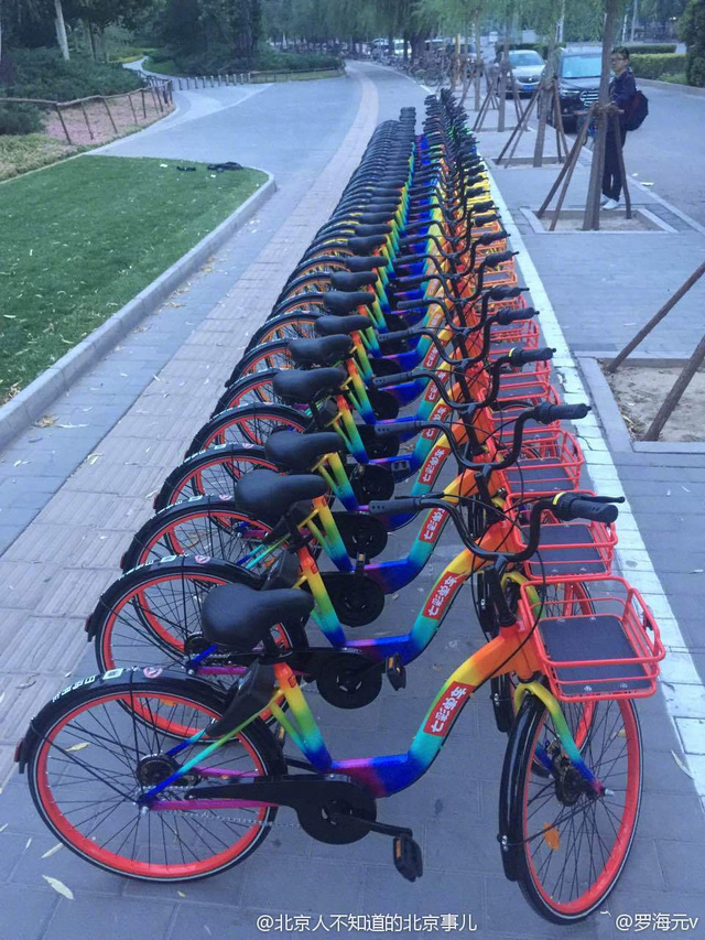 圖為彩虹單車。