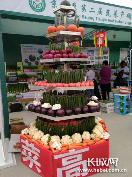蔬菜“展架”。聶承華 攝