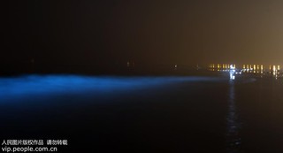 2017年9月17日凌晨，在河北省秦皇島市金夢海灣浴場拍攝的“熒光?！?。