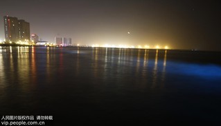 2017年9月17日凌晨，在河北省秦皇島市金夢海灣浴場拍攝的“熒光?！?。