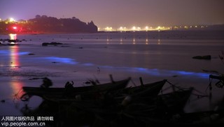 2017年9月17日凌晨，在河北省秦皇島市金夢海灣浴場拍攝的“熒光?！?。