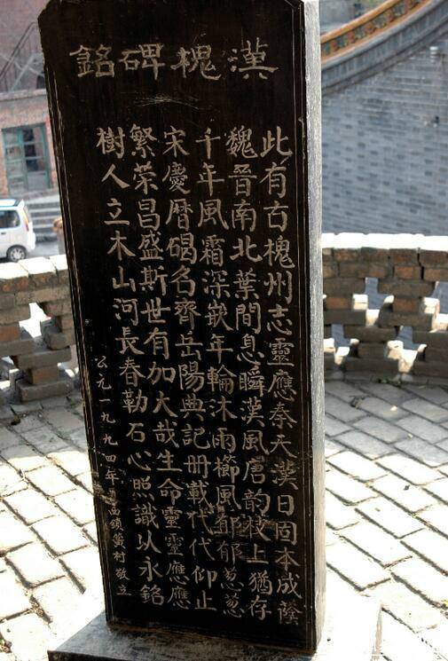 相傳此槐為漢代所植，樹干高達30余米，胸徑2.49米，主干高6.1米，冠幅東西24.8米，南北25.2米，一級分四枝，西面一枝被鋸，南面一枝風(fēng)折。