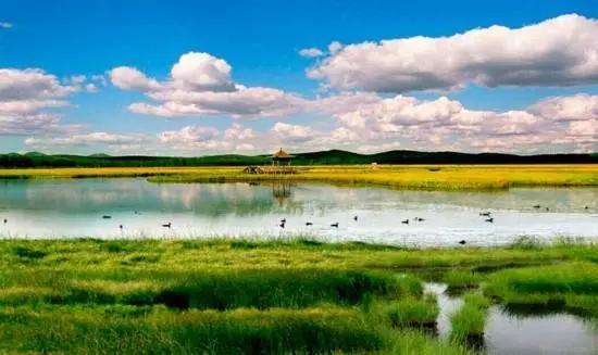 國(guó)家濕地公園:受?chē)?guó)家保護(hù)