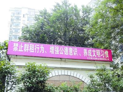 北京地下室群租又抬頭:月租800元住兩月交一年雜費